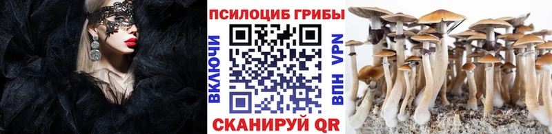 кракен зеркало  Салават  Галлюциногенные грибы Magic Shrooms 