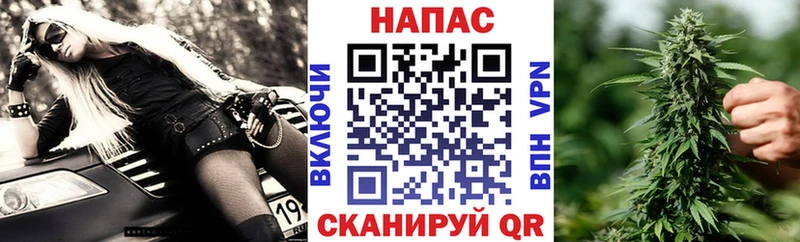 Бошки марихуана OG Kush  цены   Салават 